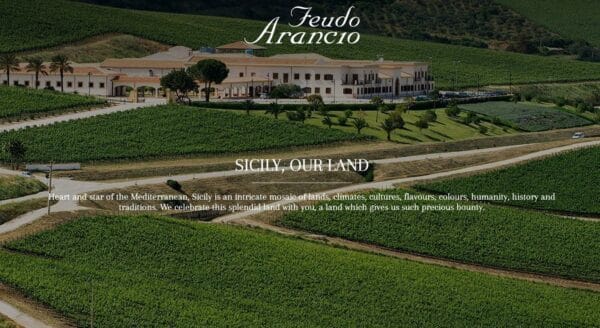 Feudo Arancio Cabernet Sauvignon - Afbeelding 2