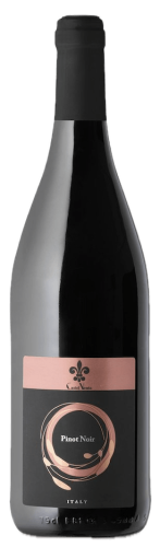 Castel-Vento-Pinot-Noir-e1724336922972.png