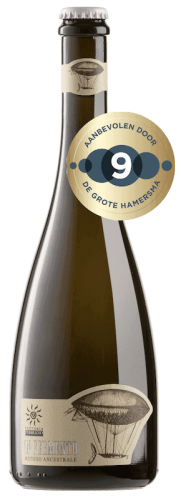Fibbioano In Fermento PetNat 9 Hamersma