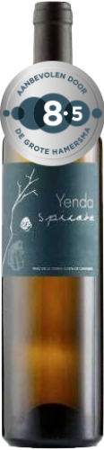 Yenda Spicata DGH