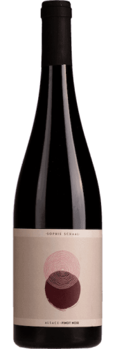 sophie schaal pinot noir